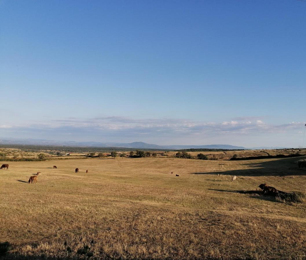 Deiana Bed & Breakfast Santu Lussurgiu Bagian luar foto